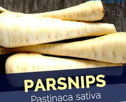 ползи
