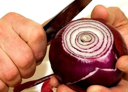 cartea noastră