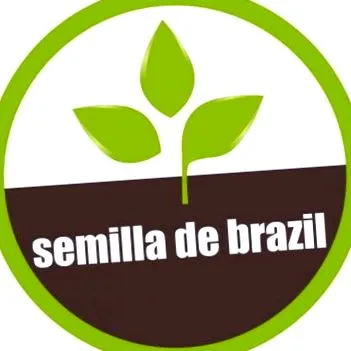 SEMILLA BRAZIL