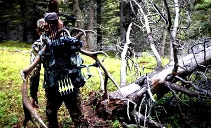 Mărturie Bowhunter
