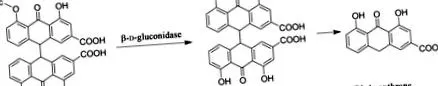 áttekintés ScienceDirect