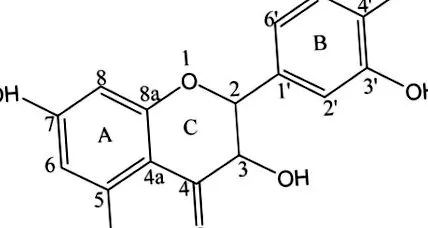 activitatea