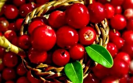 superfruit