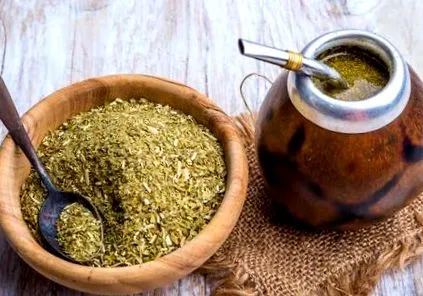 yerba