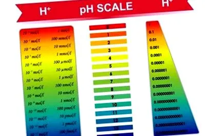 какво какво