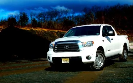 tundra
