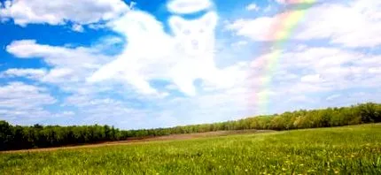 улюбленого улюбленого