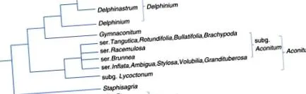 містять аконітин містять аконітин