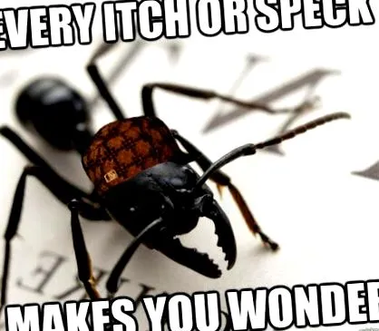 їдять