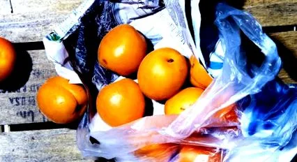 Precision Nutrition енциклопедія