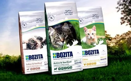 котів бозіта