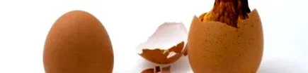 категорії гері
