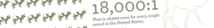 előnyei előnyei