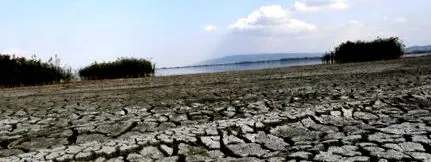 води