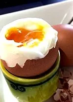харчовий харчовий