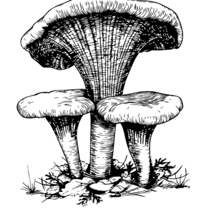 їсти