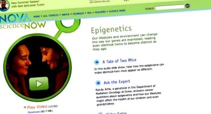 інтернет-мультимедійні epigenetics
