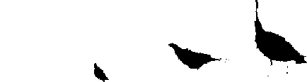 minden