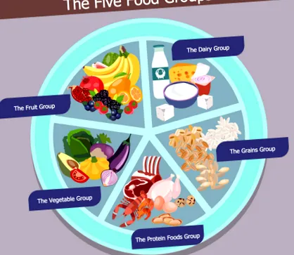 Health Food Solution