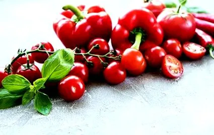 харчування стомою