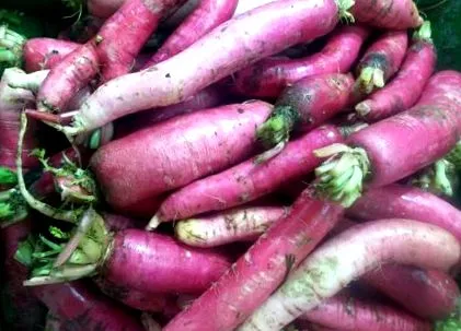 кухні кухні
