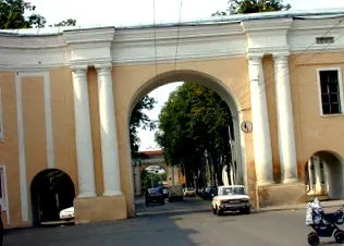 dauricus