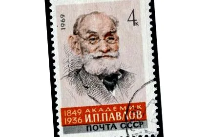 павлова павлова