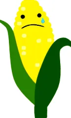 кукурудзи кукурудзи