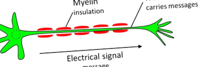 можуть