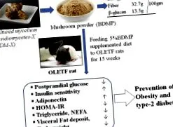 ожирінню
