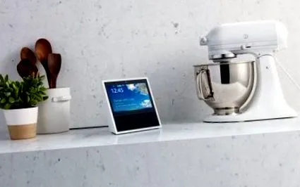 організаційна alexa