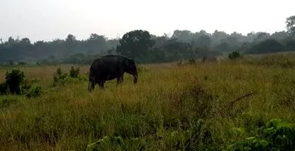 úton ramnagar