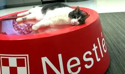 purina