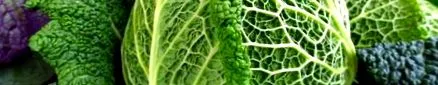 nutrition