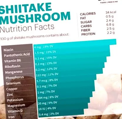 gomba shiitake gomba