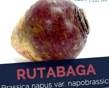 сироїжки