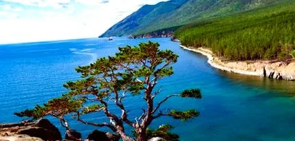 загадка академії