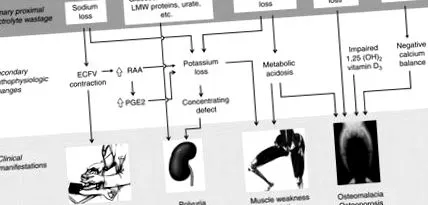 sciencedirect асоціації пошкодженням нирок