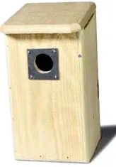 vadmadarak vadmadarak