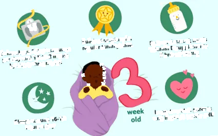 3-тижневий