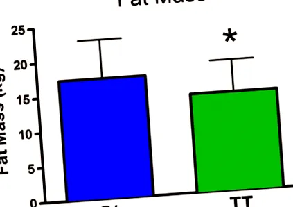 elhízáshoz testtömeg