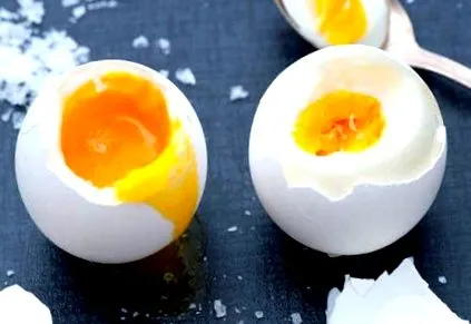 молочних продуктів молочних продуктів
