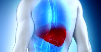аутоімунний liver