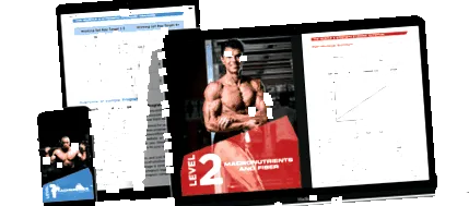 testépítés program