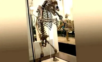 печерний печерний