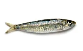 відгуки
