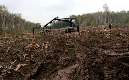 живлення знищення