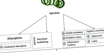spirulina-kiegészítés