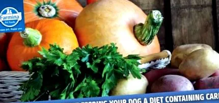 foods