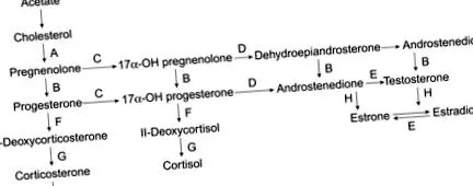 áttekintés ScienceDirect témákról témák
